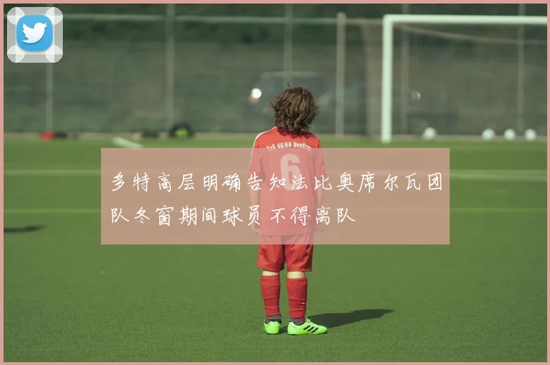多特高层明确告知法比奥席尔瓦团队冬窗期间球员不得离队