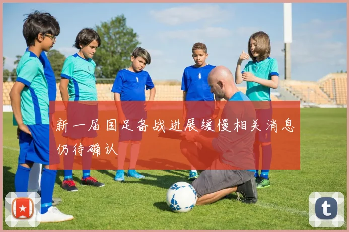 新一届国足备战进展缓慢相关消息仍待确认