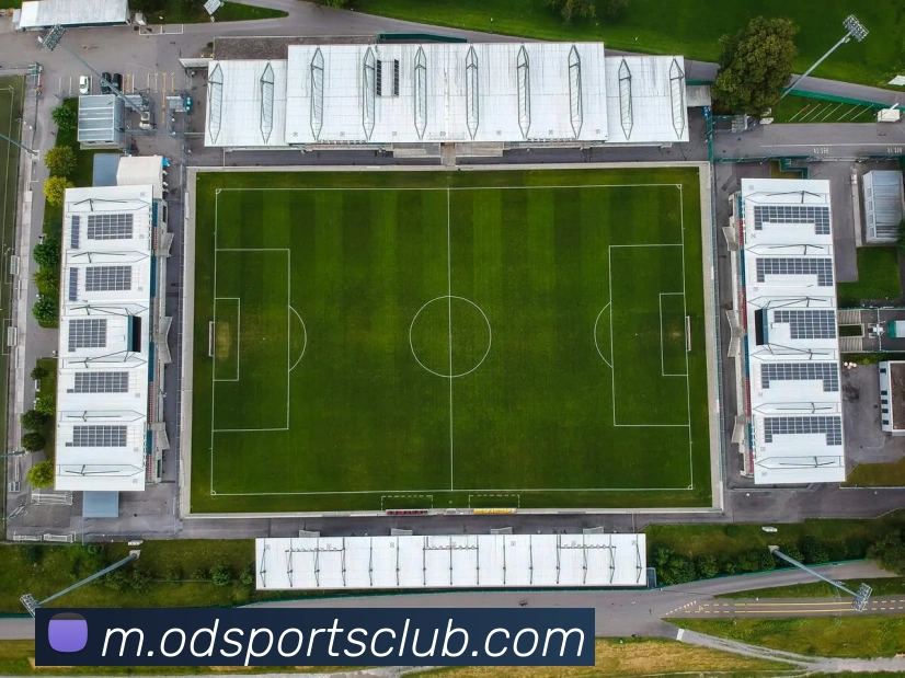 OD体育平台生态图