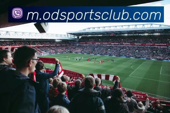 OD体育APP 封面图