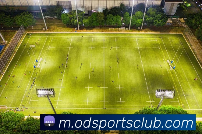 数据防护可视化